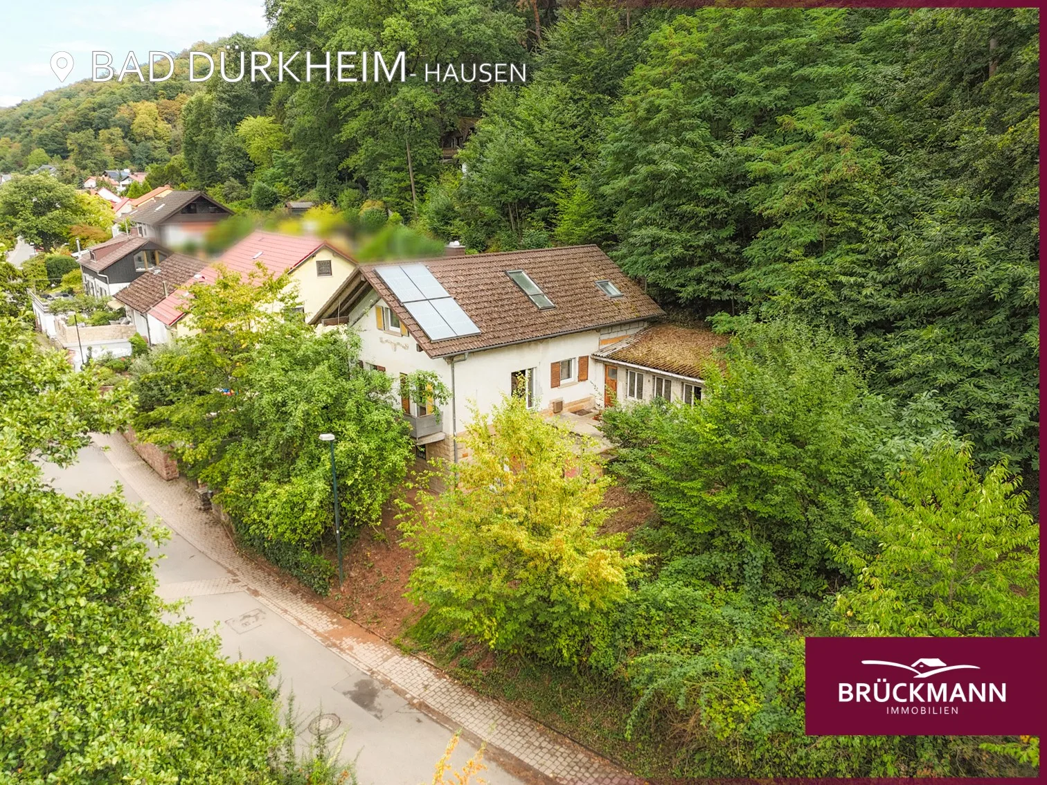 Naturverbunden leben: Nachhaltig modernisiertes Haus in unmittelbarer Waldrandlage, 67098 Bad Dürkheim / Hausen, Einfamilienhaus