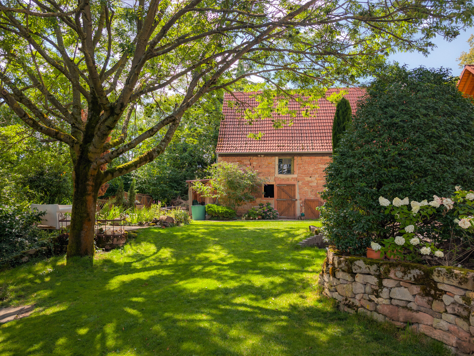 Blick in den Garten