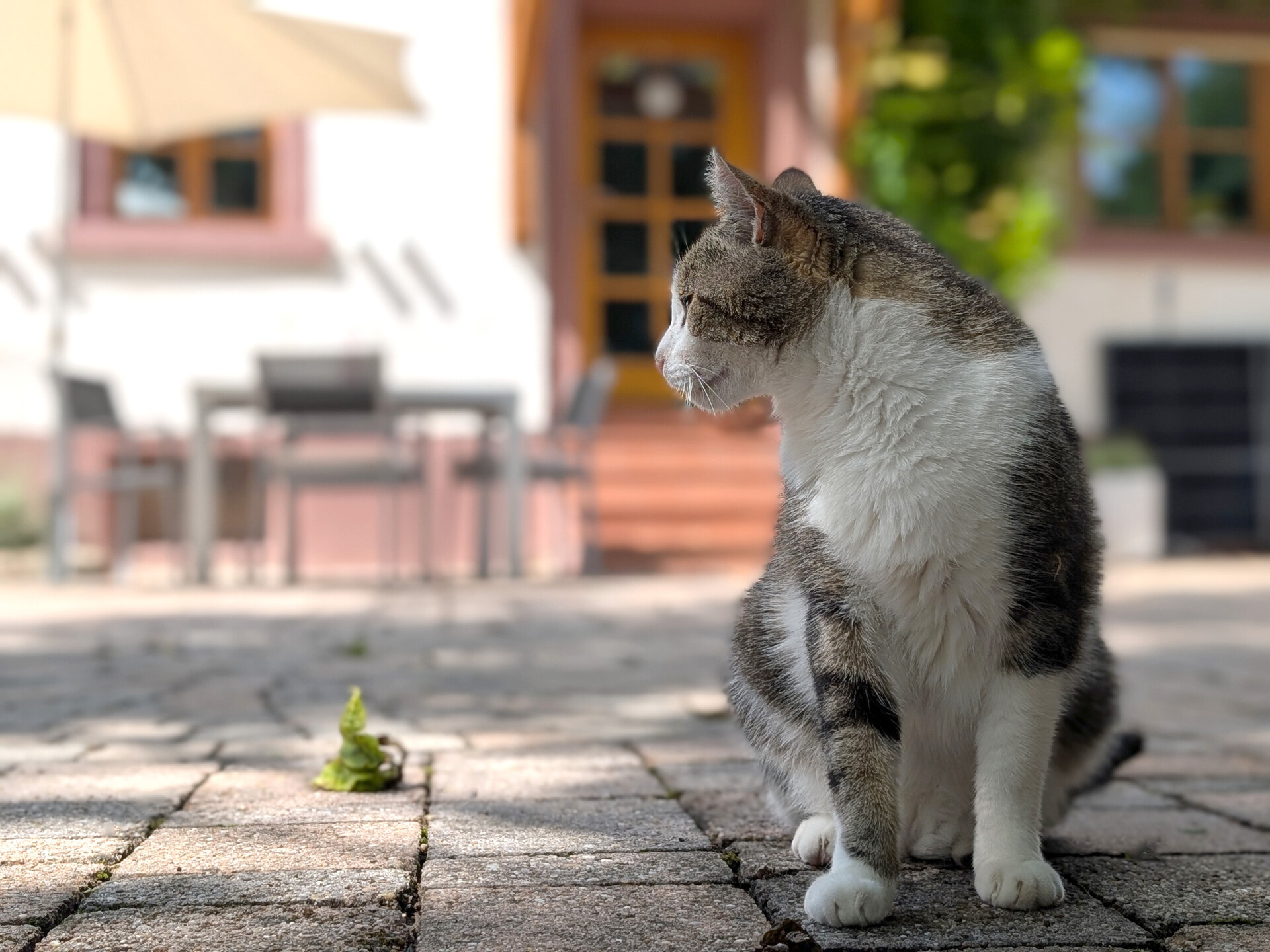 Eine der (bleibenden) Bewohnerinnen