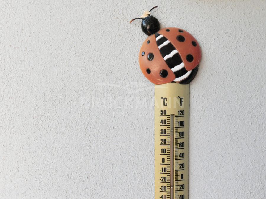 Sommer im Garten