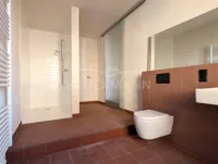 mit Walk-In-Dusche