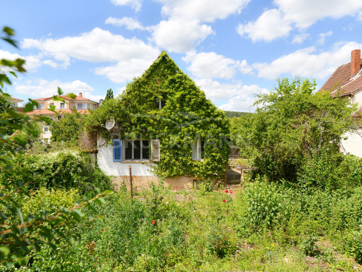 Hausansicht Garten
