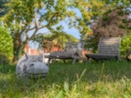 Ruheoase zum Verweilen... - Luxus im Grünen: Repräsentative Weinstraßen Villa mit parkartigem Garten in Ortsrandlage