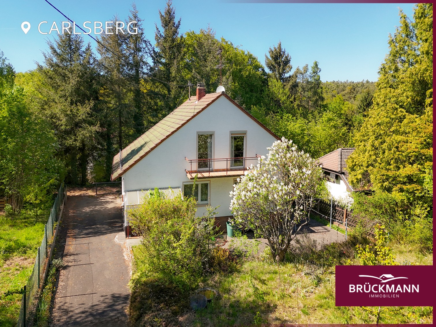 Ankommen im Grünen: Ein Zuhause zwischen Waldlichtung und Familienalltag, 67316 Carlsberg, Einfamilienhaus