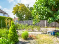 Garten mit Feigenbaum