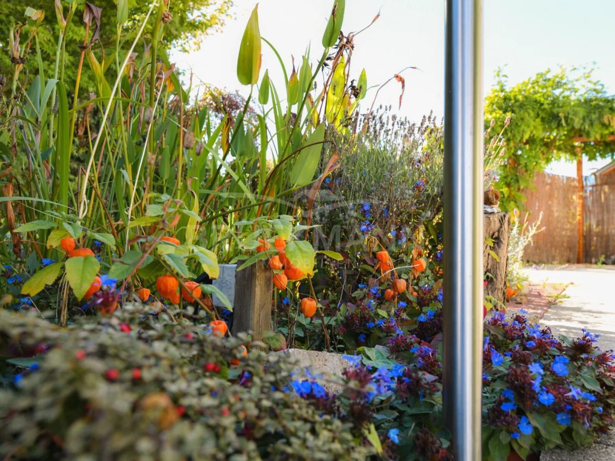 schöner Garten