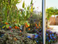 schöner Garten